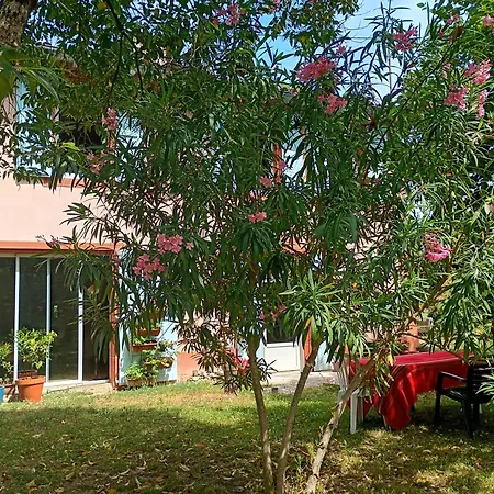 La Maison Du Cure